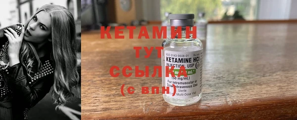 индика Дмитров
