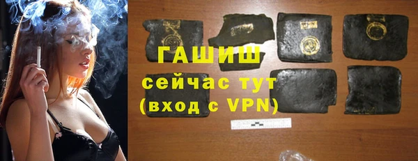 индика Дмитров