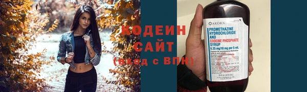 гашик Дмитровск