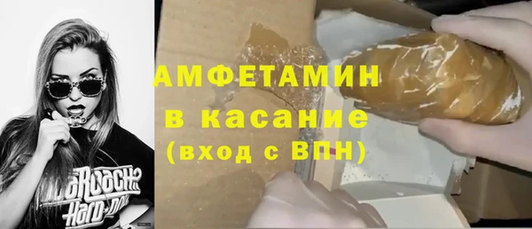 индика Дмитров