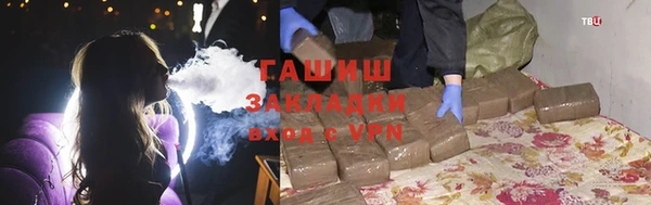 индика Дмитров