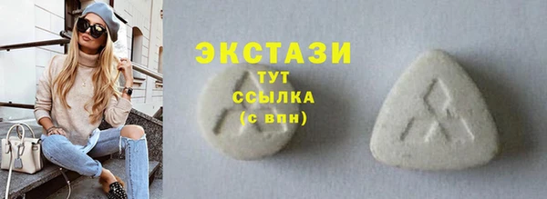 индика Дмитров