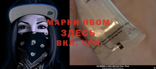 гашик Дмитровск
