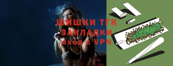 индика Дмитров