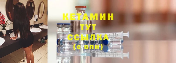 индика Дмитров