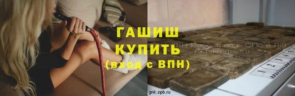 индика Дмитров