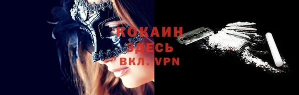 гашик Дмитровск