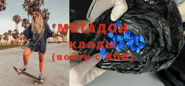 индика Дмитров