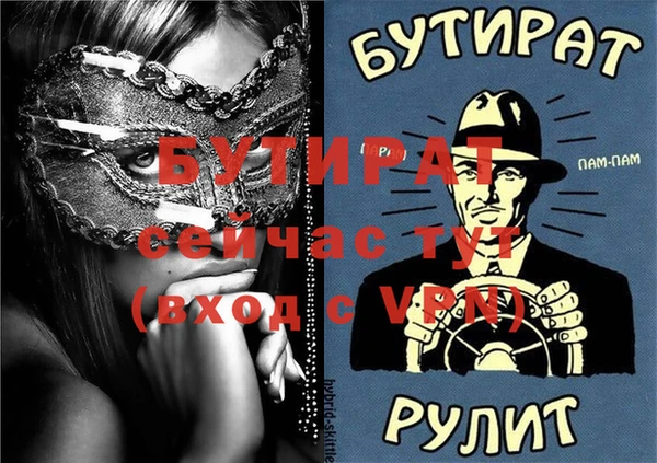 индика Дмитров