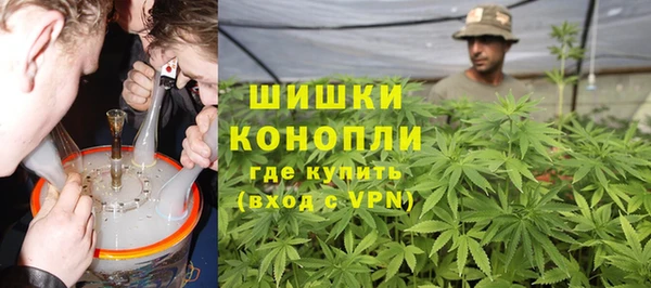 индика Дмитров