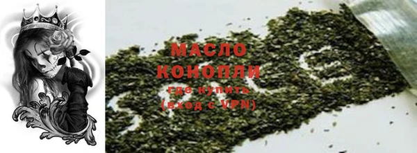 индика Дмитров