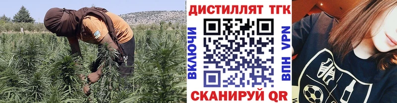 ТГК концентрат  Купить где  Ахтубинск 