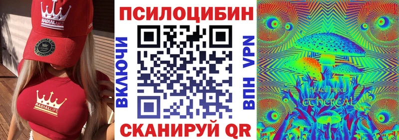 Купить закладки  Ахтубинск  Галлюциногенные грибы Psilocybine cubensis 